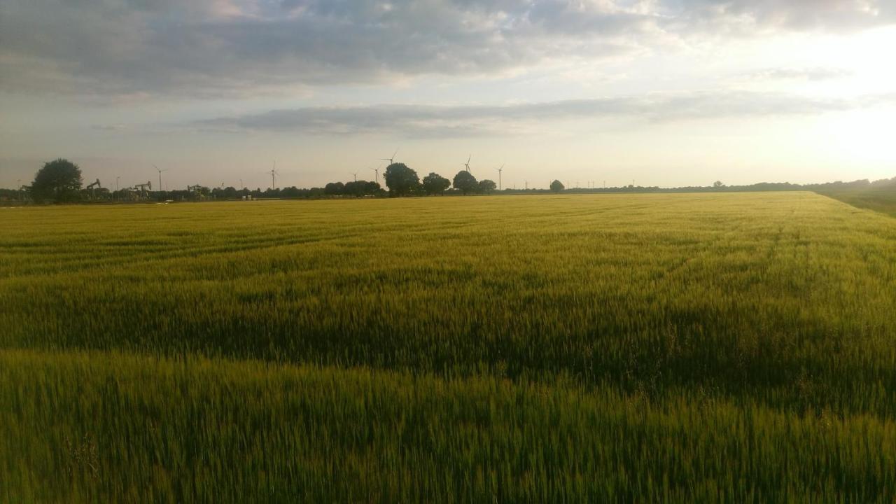 Het Vlieghuisje Coevorden Εξωτερικό φωτογραφία